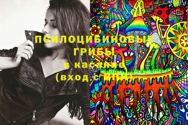 ECSTASY Бородино