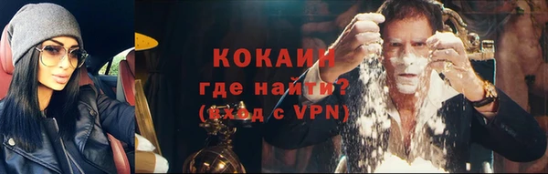 ECSTASY Бородино