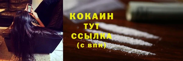 ECSTASY Бородино