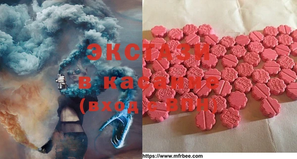 ECSTASY Бородино