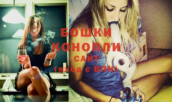 ECSTASY Бородино