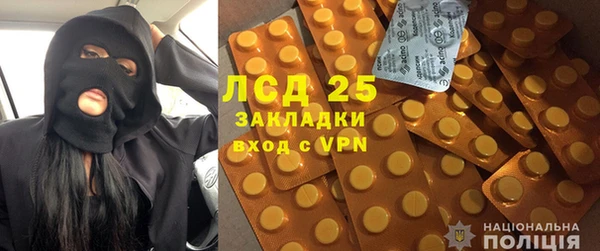 ECSTASY Бородино