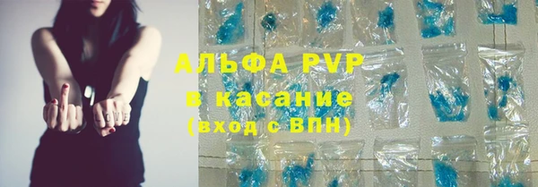 ECSTASY Бородино